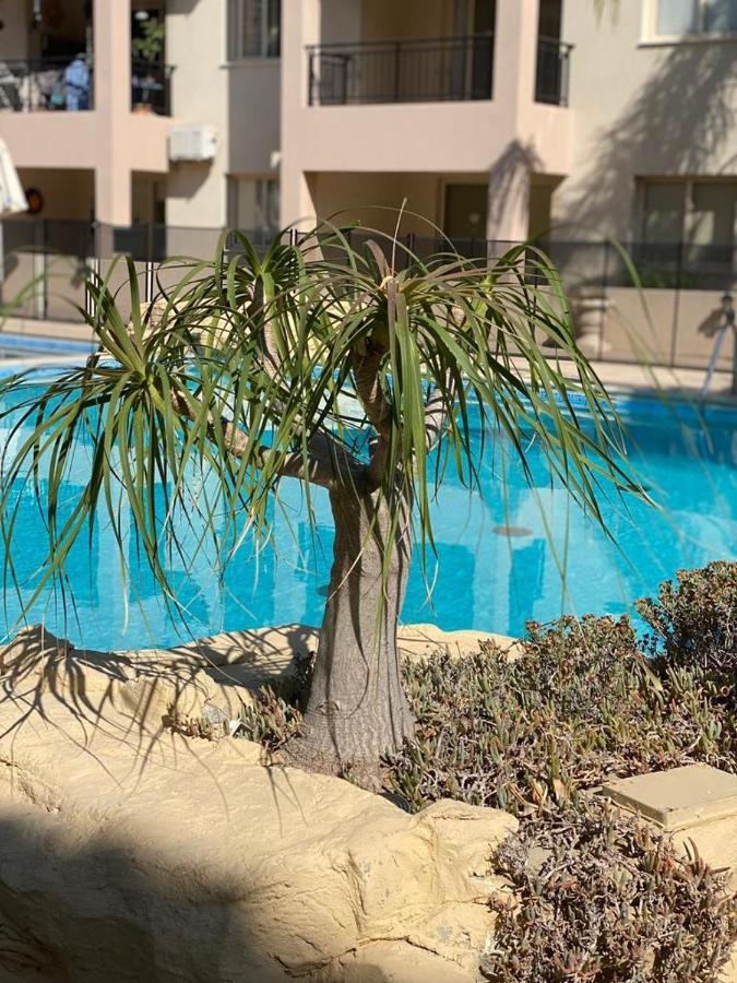 Royal Seacrest F G5 Ground Floor Apartment Paphos Eksteriør billede