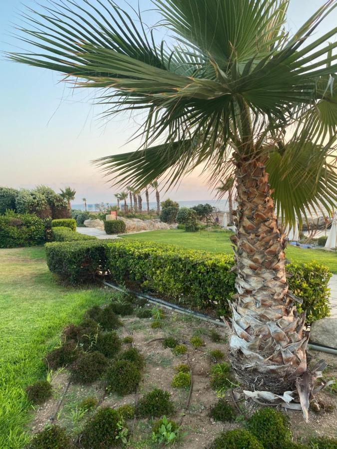 Royal Seacrest F G5 Ground Floor Apartment Paphos Eksteriør billede