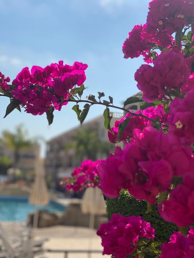 Royal Seacrest F G5 Ground Floor Apartment Paphos Eksteriør billede